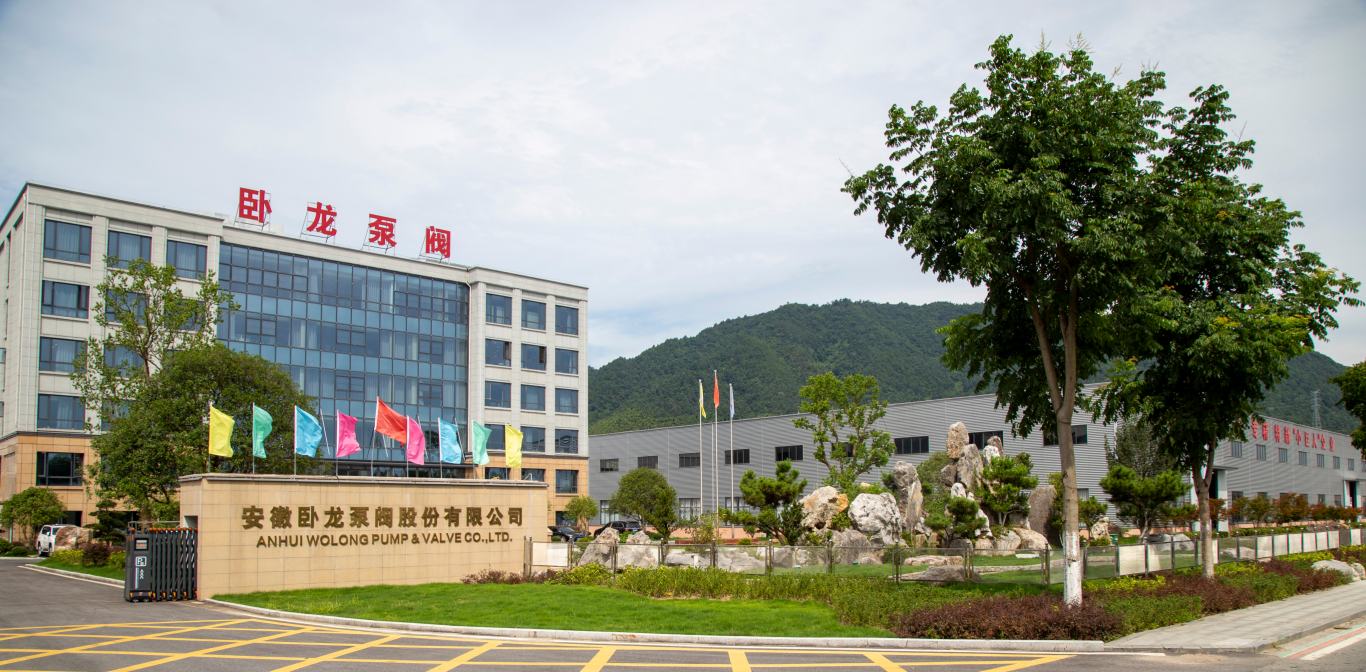 Fluoroplastic alloy pump manufacturer